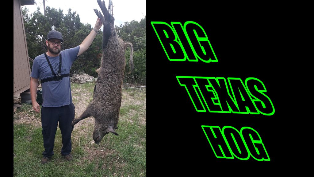 Hunting Wild Pigs in Texas COS.TV