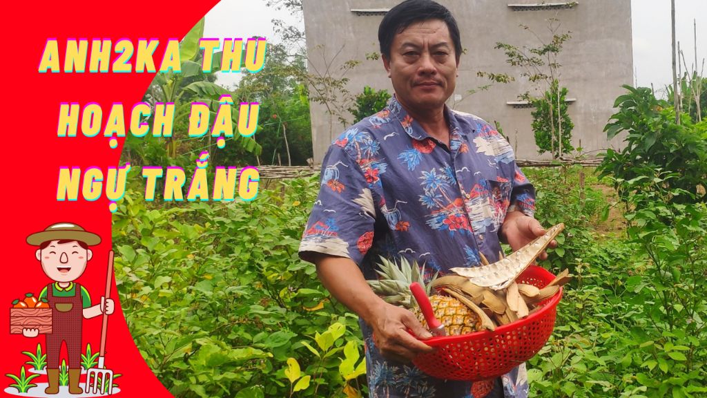 anh-2-ka-thu-ho-ch-u-ng-tr-ng-t-tr-ng-anh2ka-vlog-cos-tv