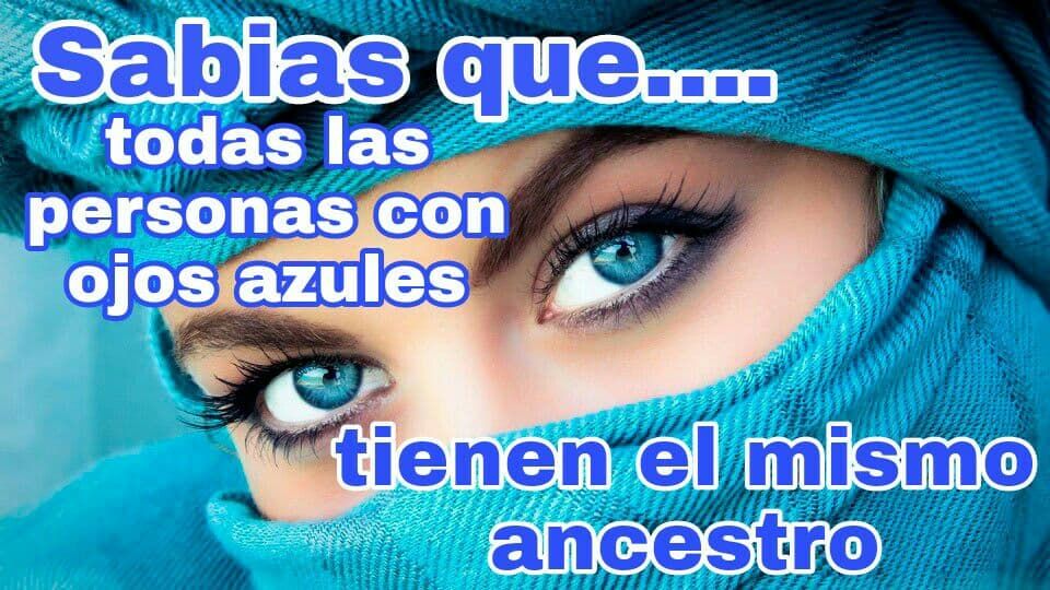 Sabias que...todos los ojos azules tienen el mismo ancestro !? COS.TV