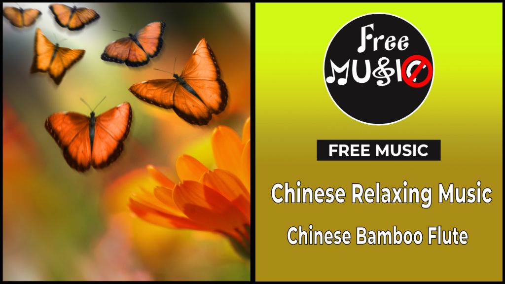 Chinese Bamboo Flute Music COS.TV