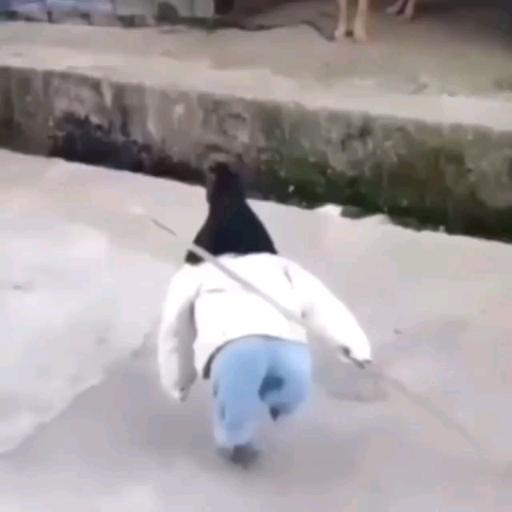 Big boss at neighborhood 🗡️