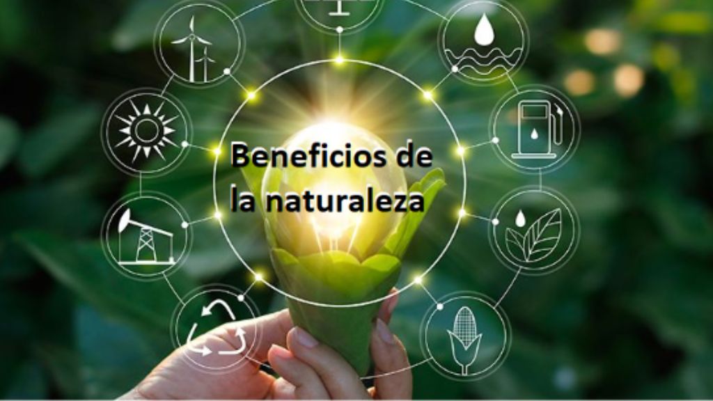 Aprende de los beneficios de la naturaleza 1er parte #BALLENITAfELIZ ...